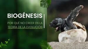 Biogénesis: Por qué no creer en la Teoría de la Evolución