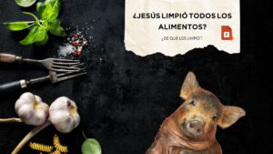 ¿Jesús limpió todos los Alimentos? ¿De que los limpió?