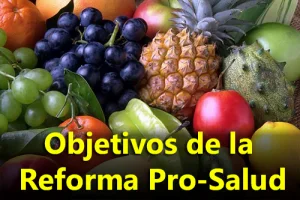 Objetivos de la Reforma Pro-Salud – Powerpoint